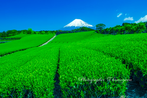 20130428-imamiya2226